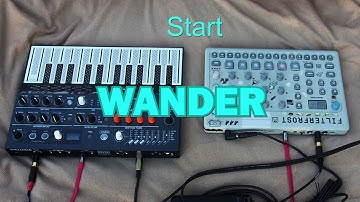Wander - Synth Jam - Microfreak, Model:Cycles