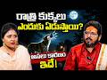 Why do dogs howl at night? This is the real reason! | DATTATREYA SHARMA|