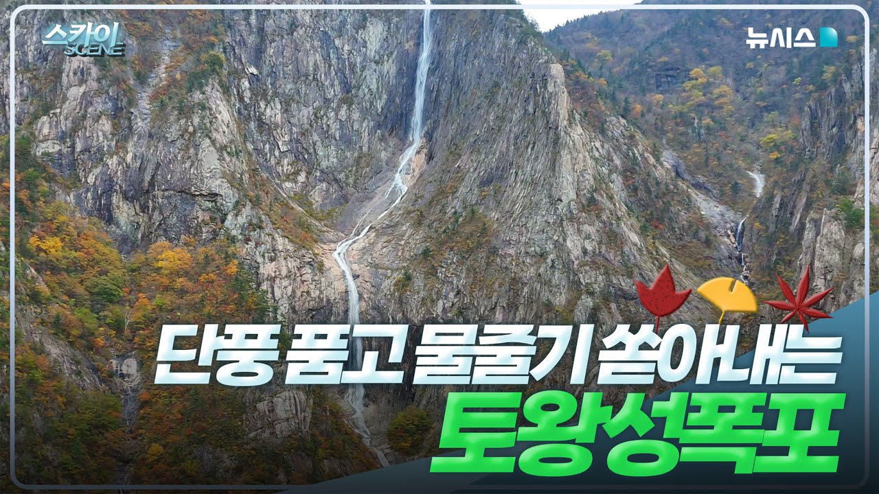 [4K] 단풍 품고🍁 물줄기 쏟아내는 설악산 토왕성폭포 [스카이씬]