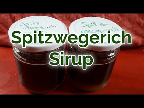 Video: Dr. Theiss Wegerichsirup - Gebrauchsanweisung Für Husten, Bewertungen