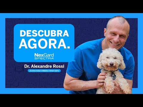 Por que meu pet fica ansioso quando não estou por perto? NexGard® Responde #13