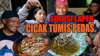 MANTAP!!! TUMIS CICAK PEDAS | SOLUSI LAPAR LUR
