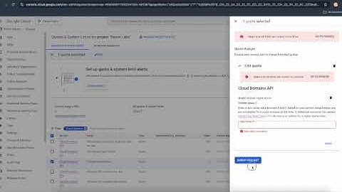 🚨 Google Cloud Platform Bug – Domain Registration Quota Limit Increase Request 🚨 - PAID ACCOUNT