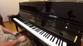 YAMAHA YS10SB 【売約済】 2006年製