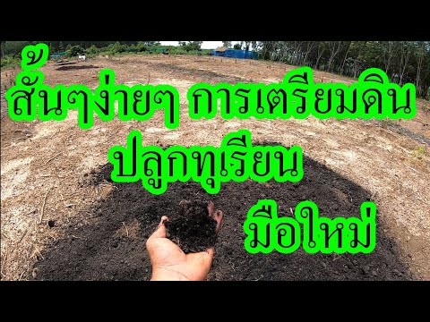 การเตรียมดินเพื่อปลูกทุเรียน | เนมสวนลุงเลิศ