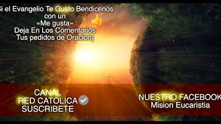 Evangelio de Hoy (Jueves, 3 de Mayo de 2018) | REFLEXIÓN | Red Católica Official