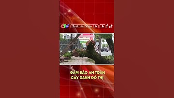 ĐẢM BẢO AN TOÀN CÂY XANH ĐÔ THỊ