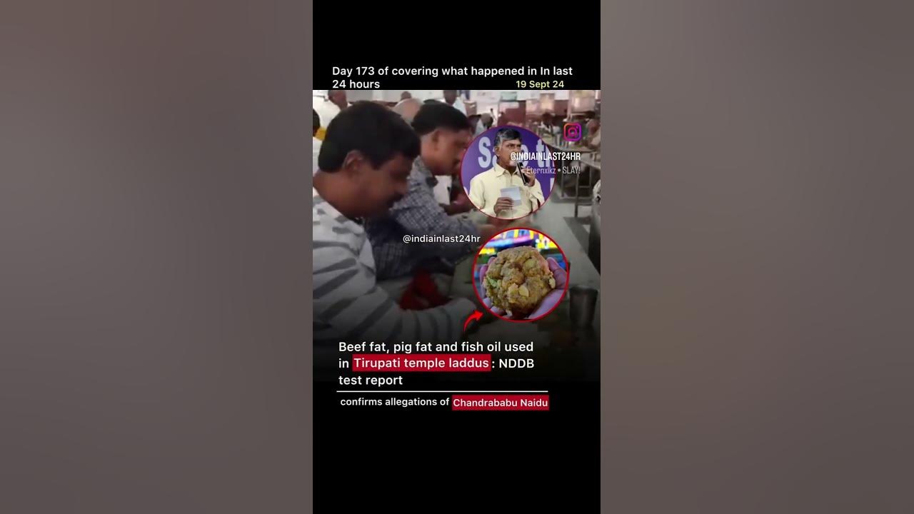 Tirupati Temple Laddus Contain Pig Fat Beef Fat Fish Oil tirupati-temple-laddus-contain-pig-fat-beef-fat-fish-oil