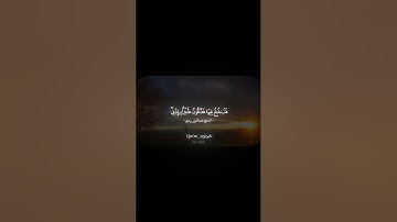 تبارك الرحمن ما أجملها من تلاوة بالنهاوند #اكسبلور #explore #المصحف #لايك #ترند #راحة_نفسية #ريلز