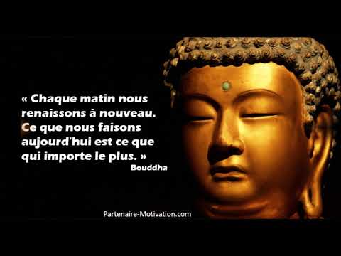 35 CITATIONS BOUDDHA