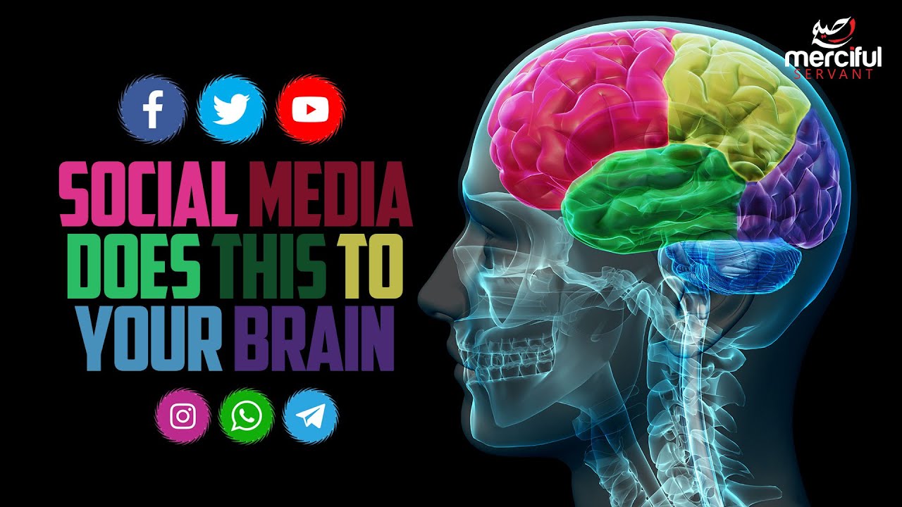 Brains mp3. Social Media Brain.