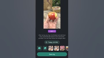 How to Use AI Photo to Log Your Meals in the Levels App