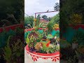 Dream garden 🏡❌ It's the reality of my dream🥰❤️✨#plantslover #flowers #nature #garden