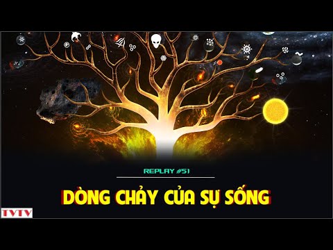 [REPLAY #51] Dòng chảy của sự sống | Thư Viện Thiên Văn