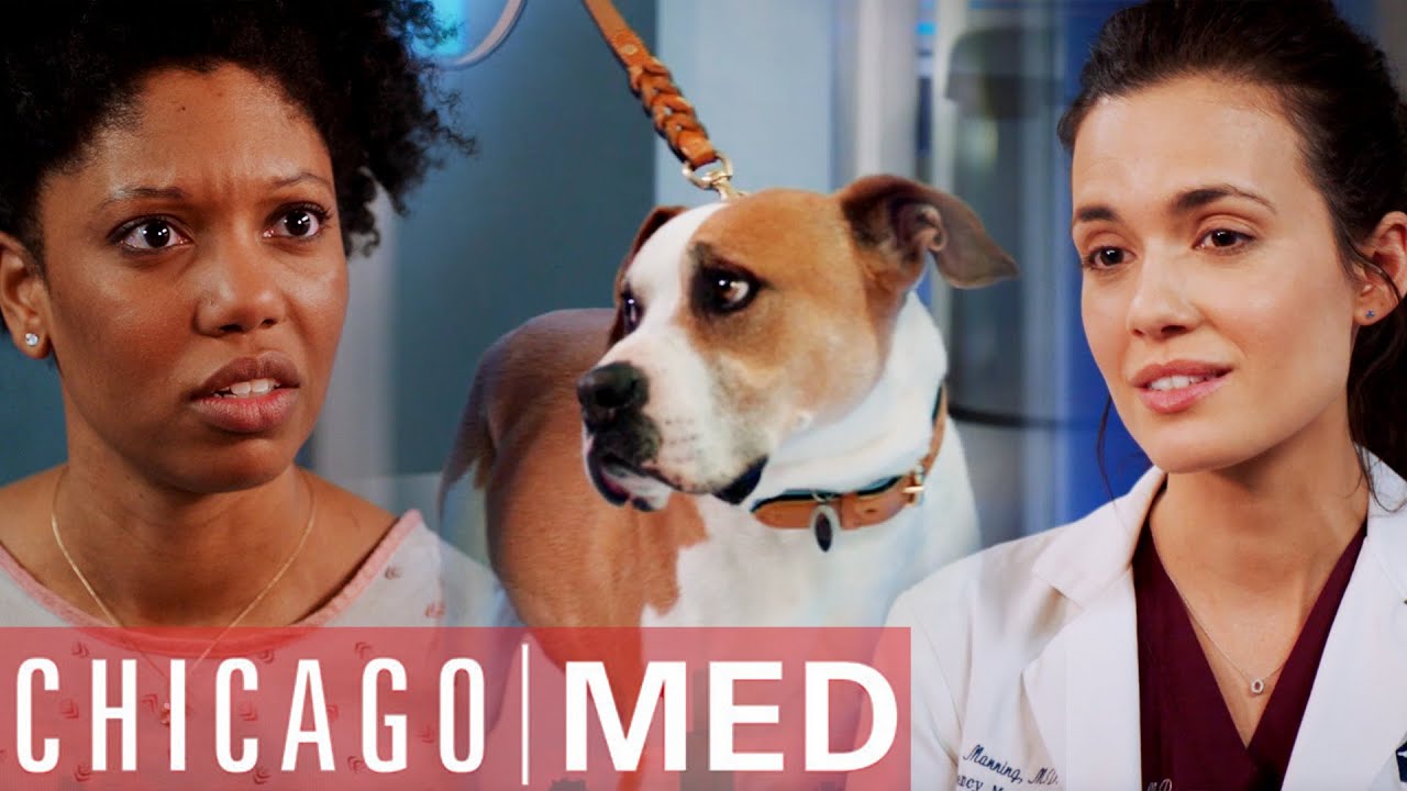 This Dog Could Smell My Cancer?! | Chicago Med