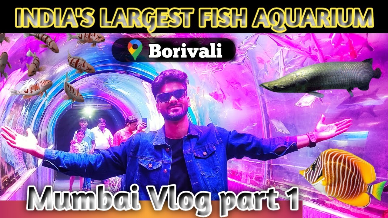 Fish aquarium borivali East Mumbai by