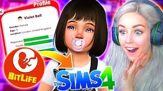 BITLIFE CONTROLS MY SIMS!   So many babies!