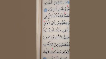 سورة ال عمران الأية 13 القارئ مشاري راشد العفاسي