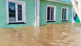 Такого наводнения здесь не было — посёлок Нижненикольский уходит под воду. Видео- вечер 16 апреля.