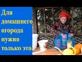 Огород на окне - что для этого нужно?