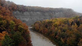 Zoar Valley (Most scenic place in NY to fish)
