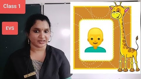 CLASS 1 EVS CHAPTER 1 ABOUT ME (Part 3)