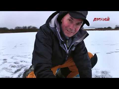 Секреты успеха. Свой