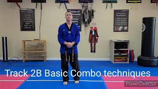 Track 2B Basic Combos Net Worth