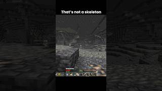 That's not a skeleton #minecraft