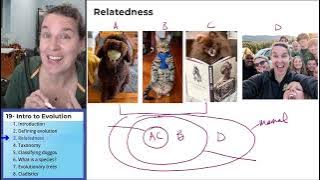 Evolution 3- Relatedness