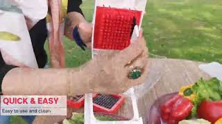 Super Dicer-Tupperware