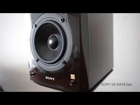 SONY SS-NA5ES Premium Edition