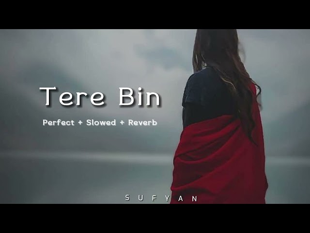 Tere Bin Ost (Slowed + Reverb) | Yumna Zaidi, Wahaj Ali | Shani class=