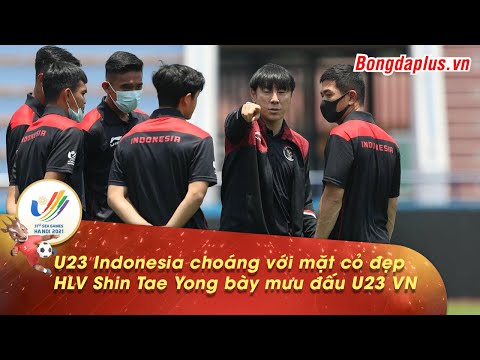 Video U23 Indonesia choáng với mặt cỏ đẹp, HLV Shin Tae Yong... - YouTube