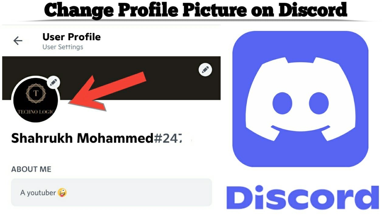 Discord profile pictures. Custom discord profile. Discord app Bunny. Disord app with Wings. Discord changes