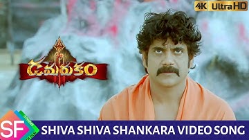 Shiva Shiva Shankara  Full video song || Damarukam || Nagarjuna, Anushka Shetty || South Film Music