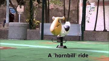 Student Video Assignment: Basic Camera Movement Demo (2T)