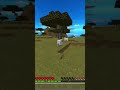 Как они играют в Майнкрафт #майнкрафт #minecraft #shorts #roblox #standoff2