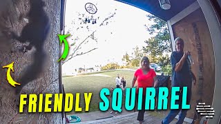Squirrel Jumps Close to a Man and a Lady Standing on a Front Porch