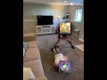 kick you funny