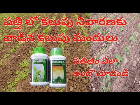 Cotton crop herbicides | pathilo kalupu nivarana | kalupu mandu | gaddi mandu | save farmers india