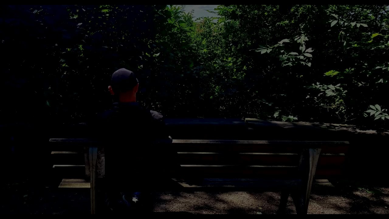 Анатолий Лето. Подснежник