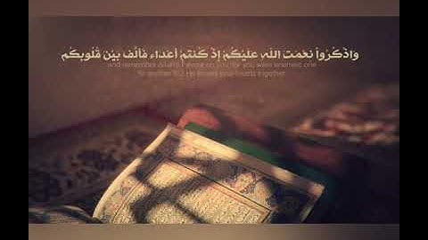 سورة آل عمران | " وَاعْتَصِمُوا بِحَبْلِ اللَّـهِ جَمِيعًا وَلَا تَفَرَّقُوا..