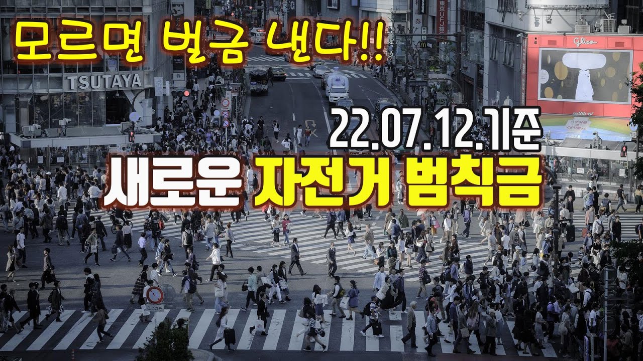 22년 7월 12일 기준 자전거 범칙금 [자전거 주행규칙/도로교통법]