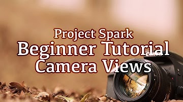 Camera Views - First & Third Person Switching, Angles & Max Distance - Project Spark