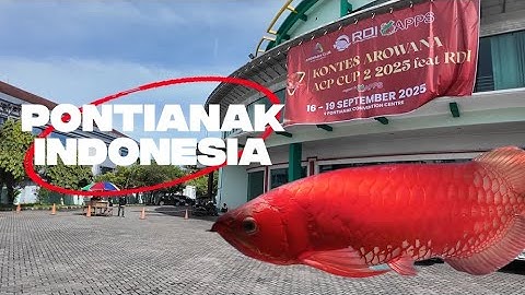 Đỉnh Cao Cá Rồng  Huyết Long Trong Cuộc Thi ACP Cup 2 2025 - Pontianak Indonesia