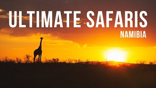 EPIC NAMIBIA ADVENTURE: Ultimate Safari's 15-Year Anniversary Unveiled!