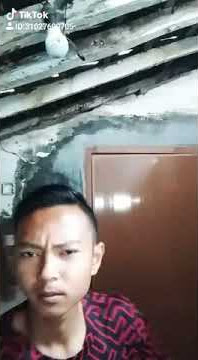 Viral Tik tok lucu goyang walang kakek