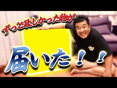 今1番欲しかったアレがついに届きました