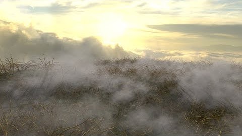 Make see-through fog patches by using Maya fluids and render in Arnold